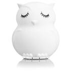 Owl, Kids Night Light, Silicone Nursery Light for Baby and Toddler, Squishy Night Light for Kids Room, BT