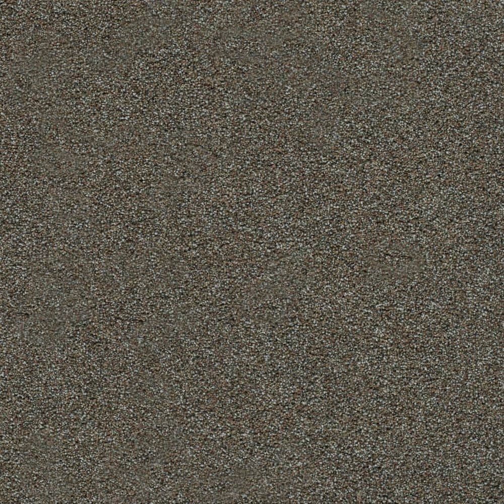 8 in. x 8 in. Texture Carpet Sample-Dewdrop II-Color Swirl price history on PriceWatchPro