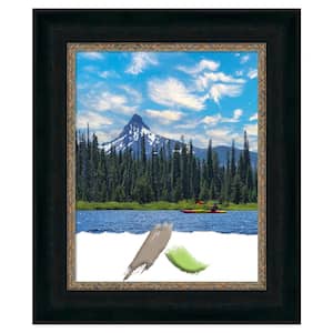 Size 16 in. x 20 in. Paragon Bronze Picture Frame Opening