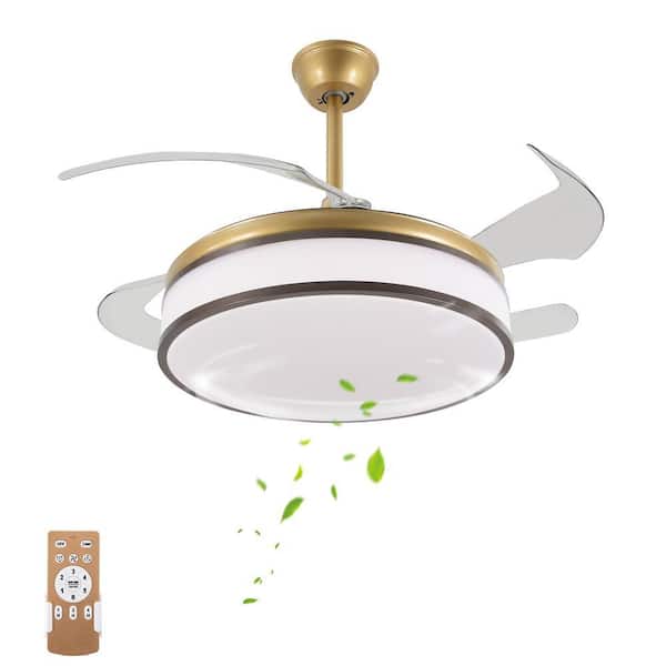 OUKANING Indoor Smart Gold Modern 6-Speed 42 in. Retractable and