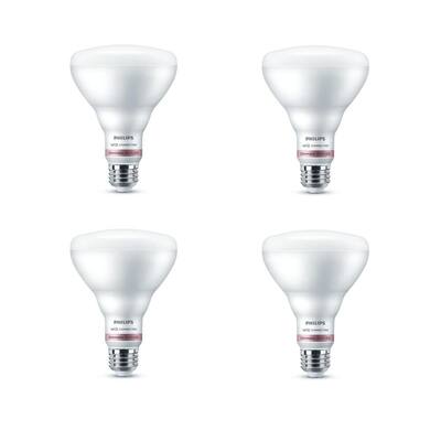 Daylight BR30 LED 65-Watt Equivalent Dimmable Smart Wi-Fi Wiz Connected Wireless Light Bulb (4-Pack)