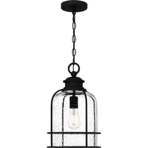 Bowles 1-Light Earth Black Pendant Light