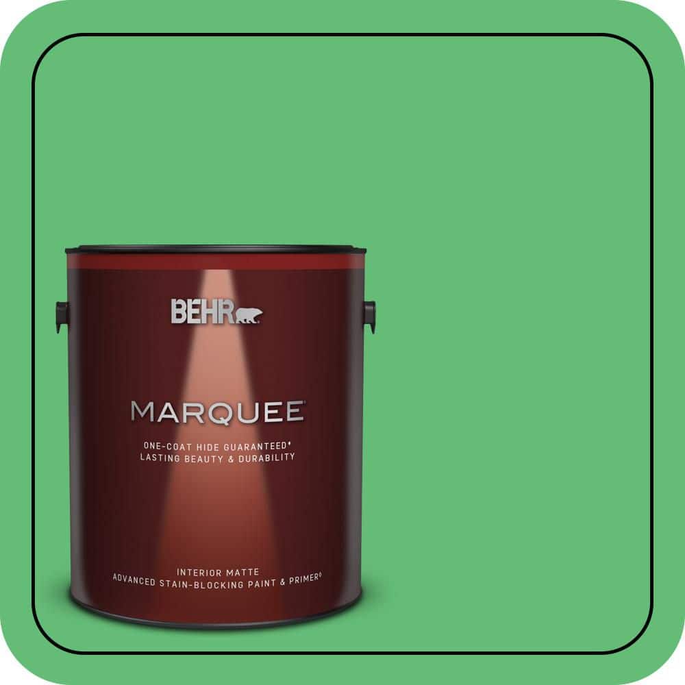 1 gal. #450B-5 Lady Luck Matte Interior Paint & Primer price history on PriceWatchPro