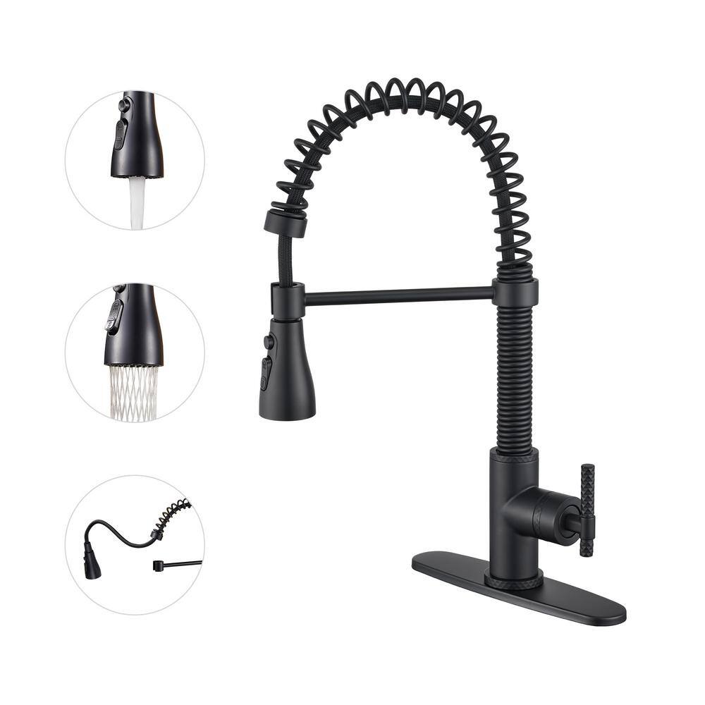 Matte Black Stainless Steel Pull-Out Kitchen Faucet