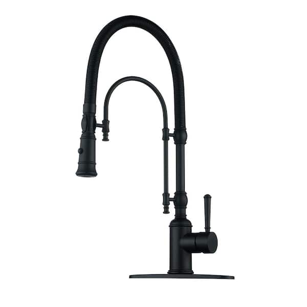 ALEASHA Single Handle Pull Down Sprayer Kitchen Faucet in Matte Black