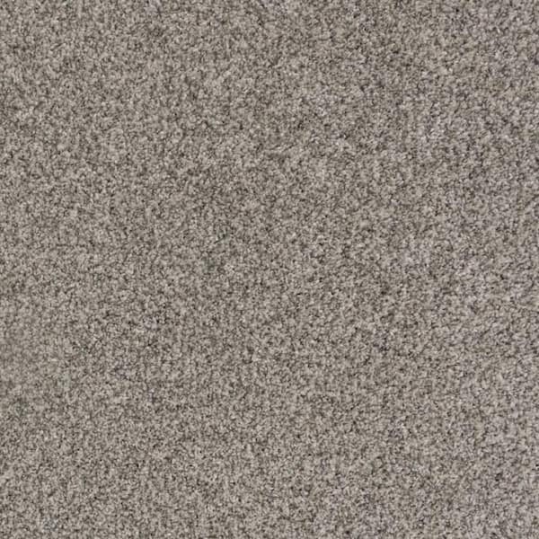 Lifeproof with Petproof Technology Lurelin-Calming-Beige 68 oz. Triexta Polyester Textured Installed Carpet