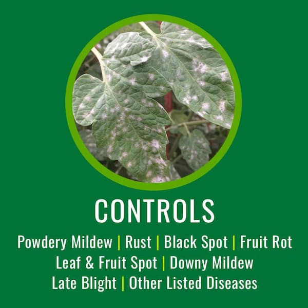 24 oz Disease and Fungus Ready to Use (2-Pack)