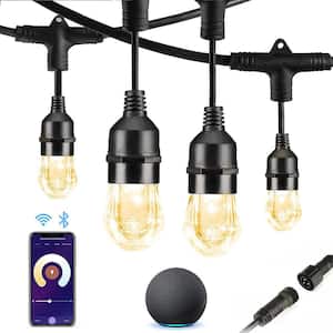 Smart String Lights Extension Only, No Power Adapter Outdoor/Indoor 24 ft. Plug-in Novelty Bulb String Light
