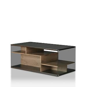 Marani 49 in. Brown Large Rectangle Wood Coffee Table with Shelves