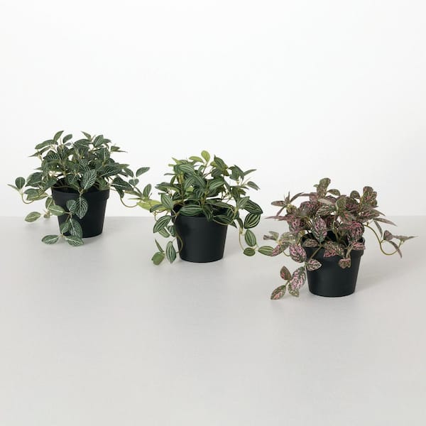 SULLIVANS Artificial 6.5 in. Potted Fit Tonia of 3, Green