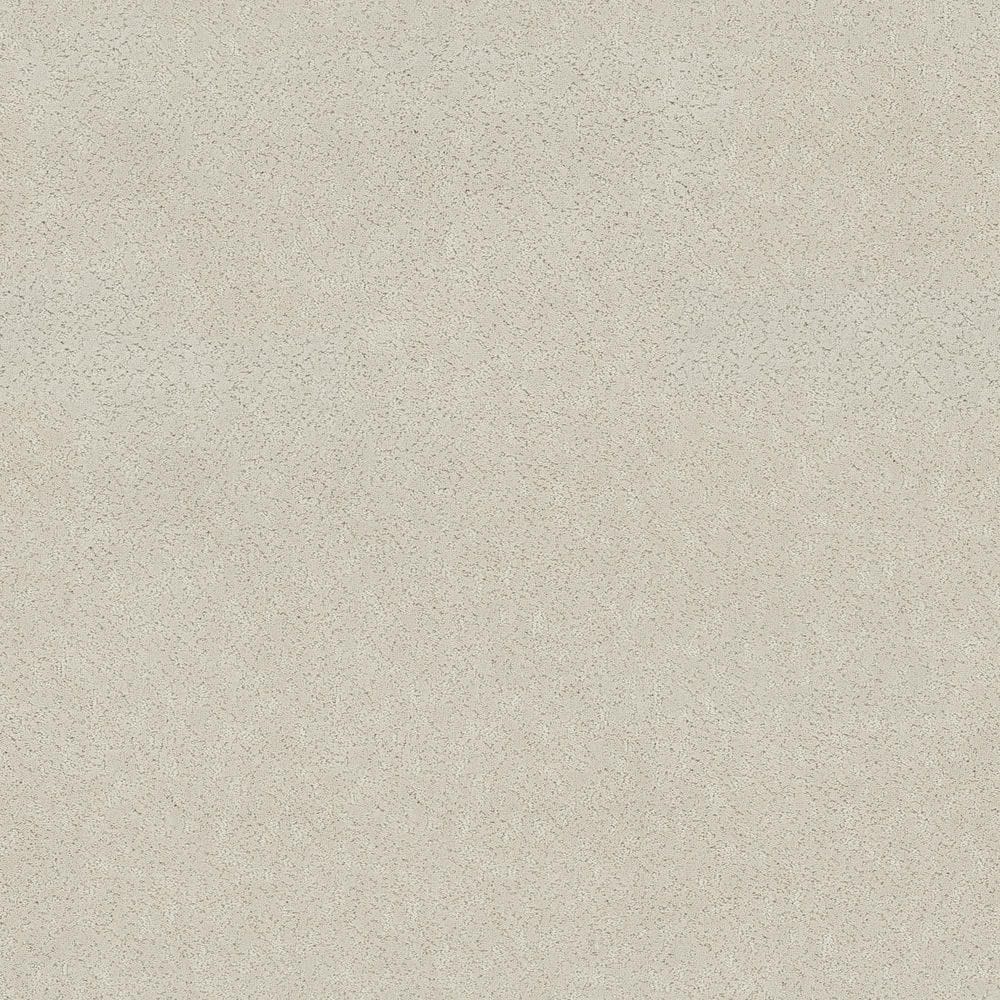 8 in. x 8 in. Pattern Carpet Sample - Pattern Plays - Color Sea Pearl price history on PriceWatchPro
