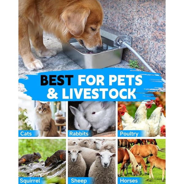 buy sheba cat food in bulk Sheba Perfect Portions Multipack Salmon and Whitefish & Tuna Entrée We —  iPetsPro main image 0