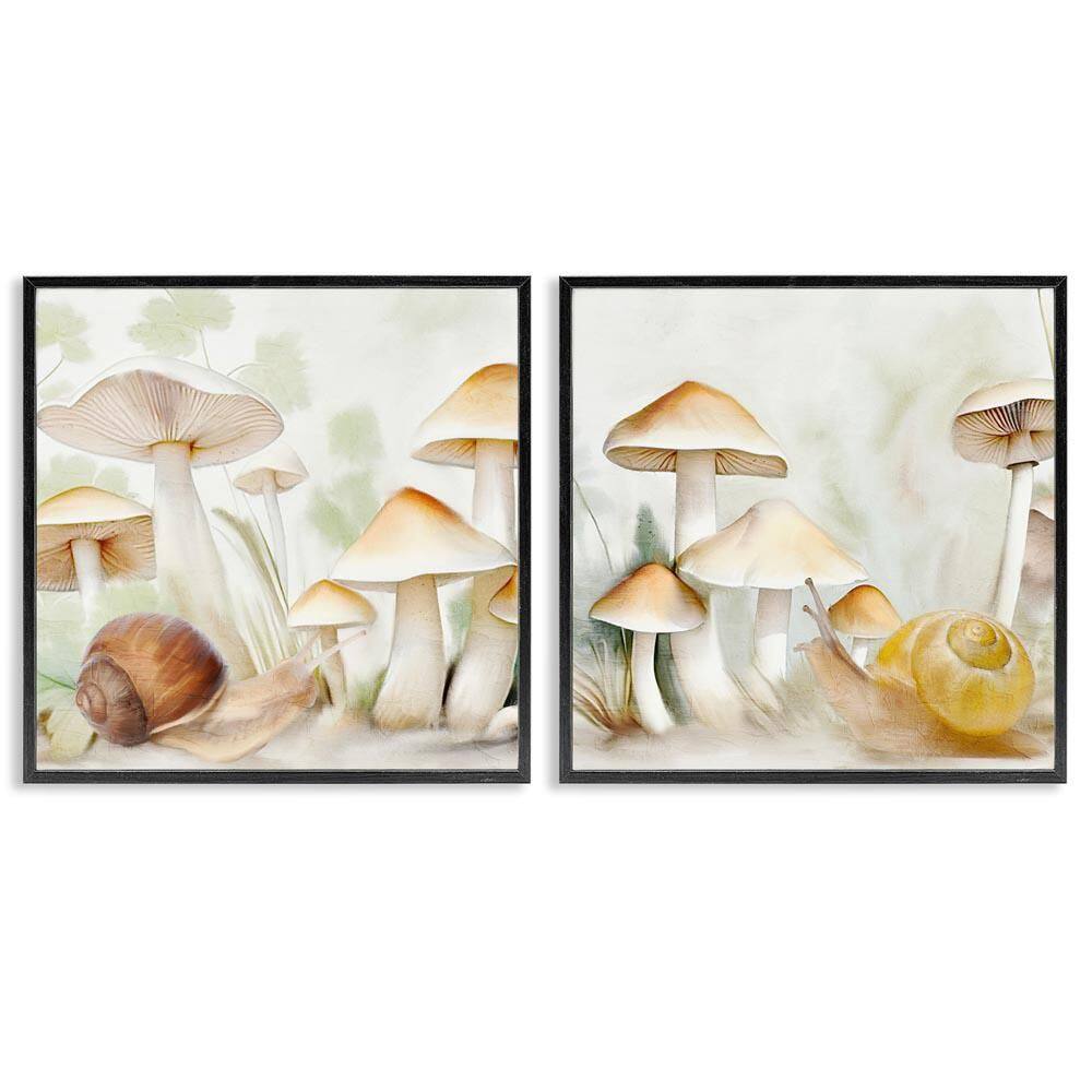Snail Crawl by Mushrooms by Kim Allen 2 Pieces Black Framed Nature Giclee Art Print 12 in. x 12 in. price history on PriceWatchPro
