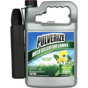 Weed Killer for Lawns, 1 Gal. Ready-to-Use with Battery Sprayer