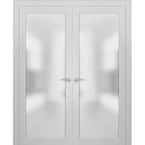 Sartodoors 3309 56 in. x 80 in. 3/4 Lite Frosted Glass Matte White ...