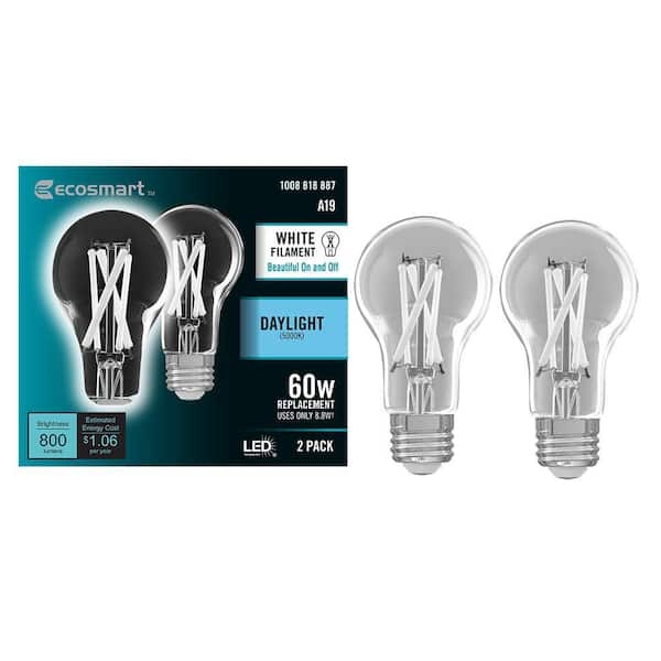 EcoSmart 60 Watt Equivalent A19 Dimmable White Filament CEC Clear