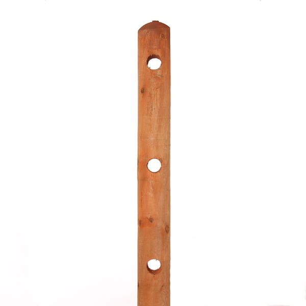 Outdoor Essentials 5 in. x 5 in. x 6-1/2 ft. Pressure-Treated Pine 3-Hole Fence Line Post