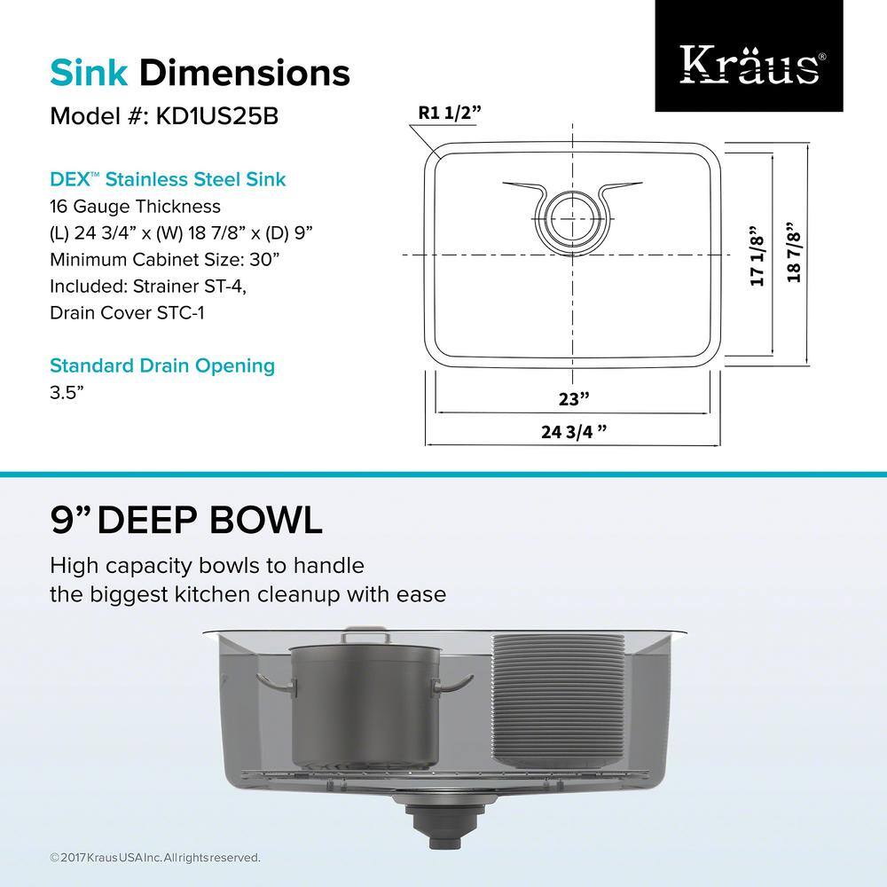 Dex 25-Inch Undermount Single Bowl Stainless Steel Kitchen Sink with DrainAssure