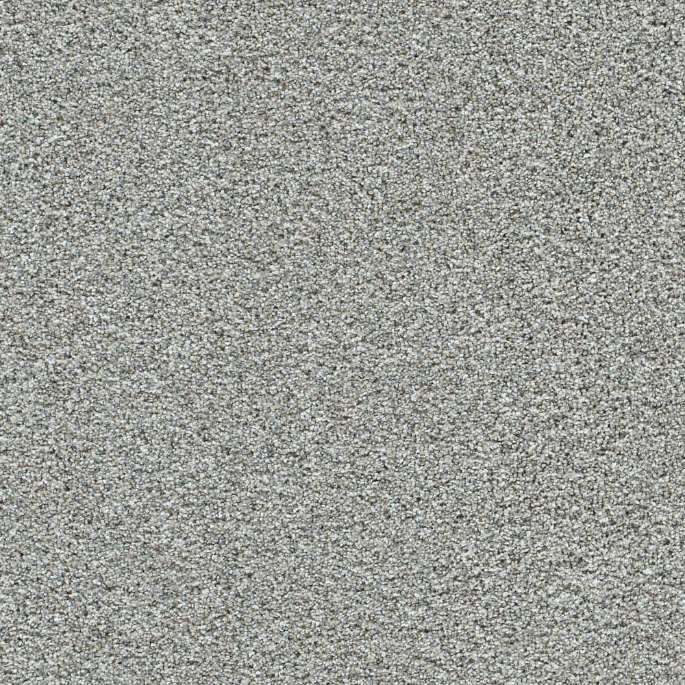 8 in. x 8 in. Texture Carpet Sample-Cozy Cloud-Color Snug price history on PriceWatchPro