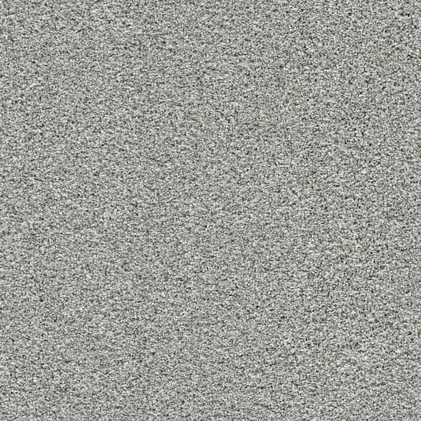 8 in. x 8 in. Texture Carpet Sample-Cozy Cloud-Color Snug