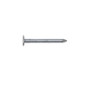 #11 x 1-1/2 in. Hot Dipped Galvanized Non-Collated Roofing Nails 5 lbs. (815-Count)