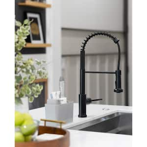 Paulina Single-Handle Spring Neck Pull Down Sprayer Kitchen Faucet in Matte Black