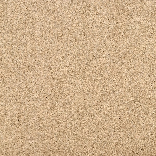Lifeproof with Petproof Technology Hainsridge - Pie Crust - Beige 68 oz. Triexta Texture Installed Carpet