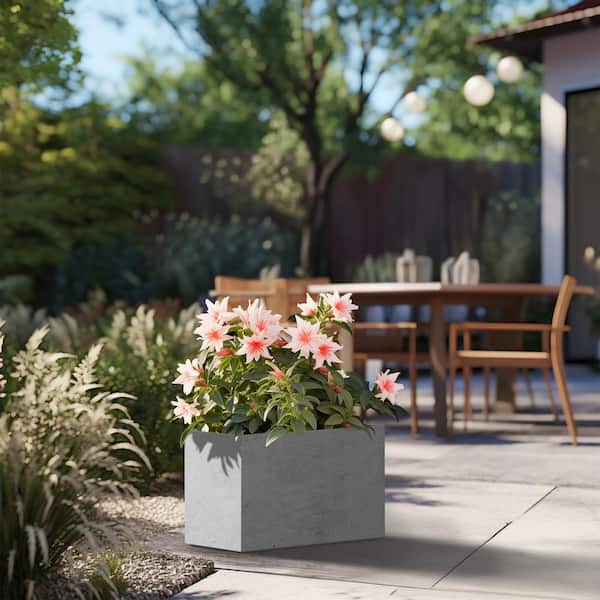 Sapcrete Modern 12in. High Large Tall Elongated Square Cement Shade Outdoor Cement Planter Plant Pots