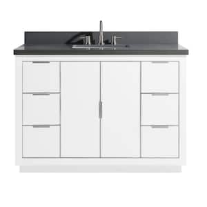 Austen 49 in. W x 22 in. D Bath Vanity in White with Silver Trim with Quartz Vanity Top in Gray with White Basin