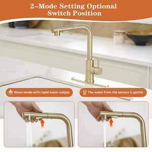 2 Sprayer Single Hole Single-Handle Pull Out Kitchen Faucet in Brushed Gold