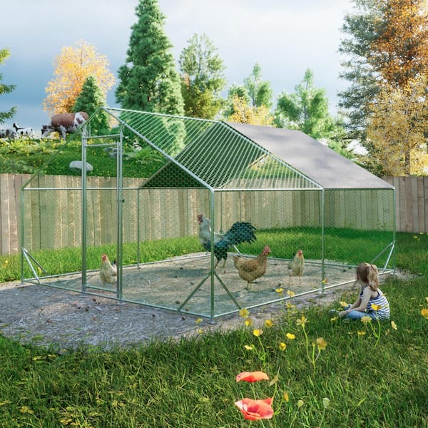 FIROMO 10 ft. L x 13 W x 6.56 ft. H, Metal Chicken Coop, Walk-in with Waterproof Cover, Lockable, Pointed Roof, White
