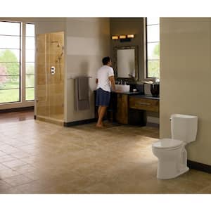 Entrada 12 in. Rough In Two-Piece 1.28 GPF Single Flush Round Toilet in Cotton White, Seat Not Included