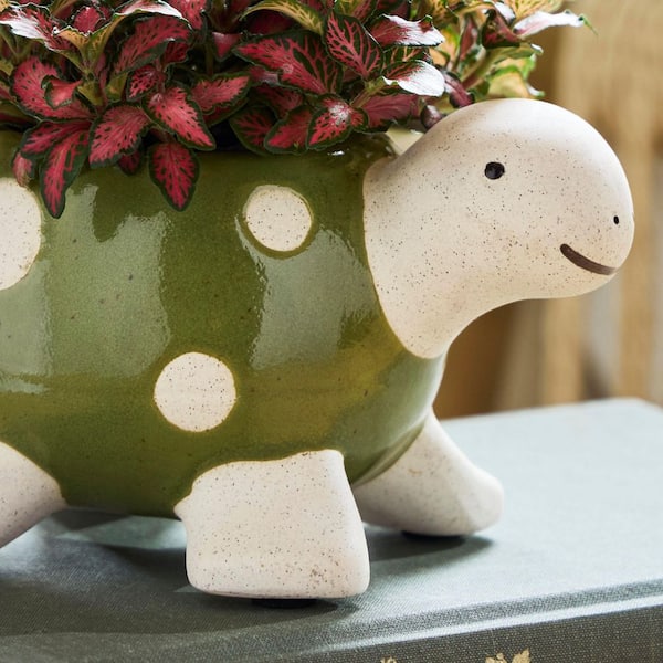 Vigoro Turtle Small Green Indoor Ceramic Planter with Drainage Holes (5.51 in. L x 3.5 in. W x 3.54 in. H)