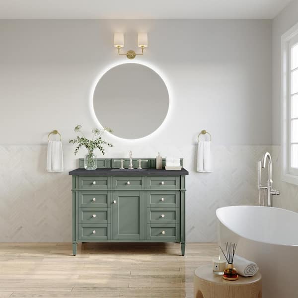 Brittany 48.0 in. W x 23.5 in. D x 33.8 in. H Bathroom Vanity in Smokey Celadon with Charcoal Soapstone Quartz Top