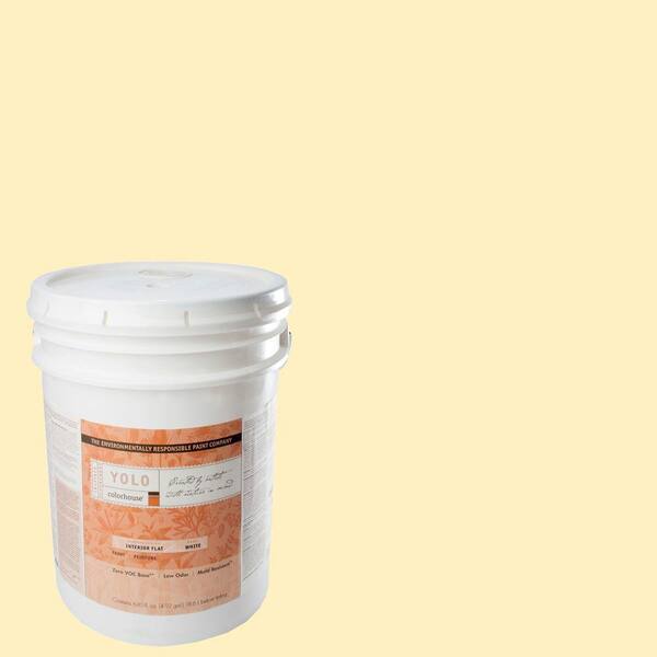 YOLO Colorhouse 5-gal. Grain .01 Flat Interior Paint-DISCONTINUED