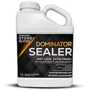1 gal. Clear Acrylic Sealer Wet Look Satin Finish Professional Grade Fast Dry Water Based Stone and Clay Brick Sealer