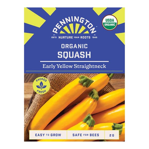 Pennington Organic Squash Early Yellow Straightneck Fruit Seed