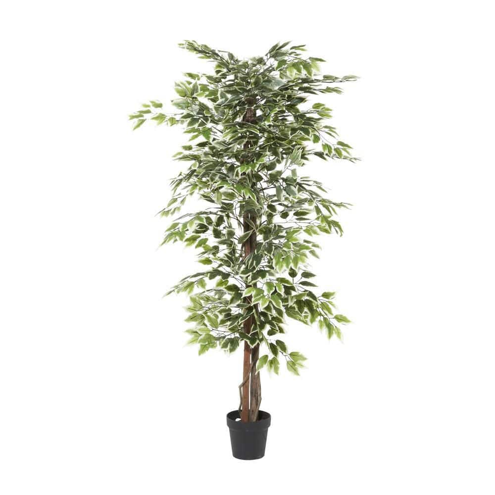 Empire Green 73" Artificial Ficus Floor Plant in Black Plastic Pot