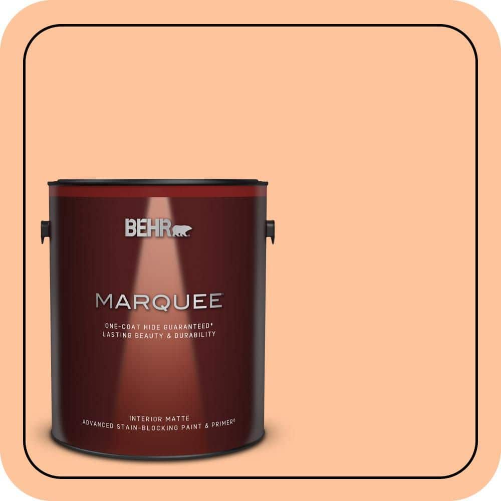 1 gal. #260B-4 Orange Sherbet Matte Interior Paint & Primer price history on PriceWatchPro
