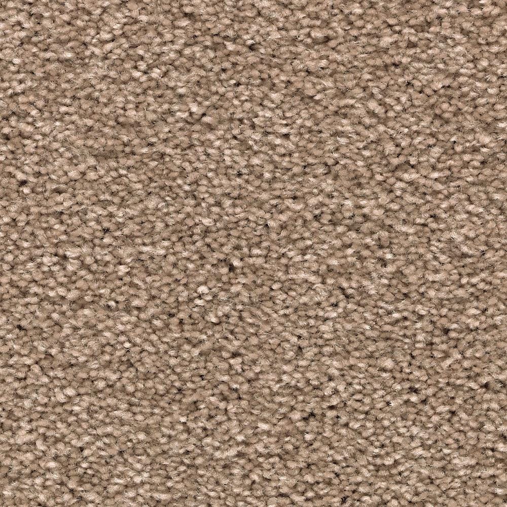 8 in. x 8 in. Texture Carpet Sample - Unblemished I -Color Fieldstone price history on PriceWatchPro