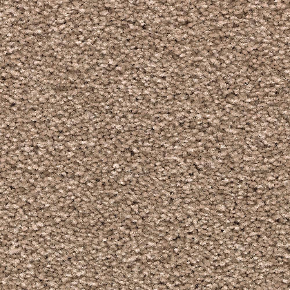 8 in. x 8 in. Texture Carpet Sample - Unblemished II -Color Fieldstone price history on PriceWatchPro