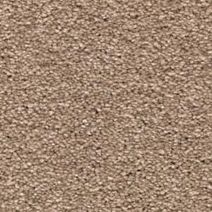 Unblemished I  - Fieldstone - Brown 45 oz. Triexta Texture Installed Carpet