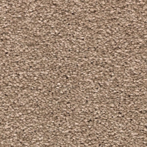 Unblemished I - Fieldstone - Brown 45 oz. Triexta Texture Carpet - Installation Required