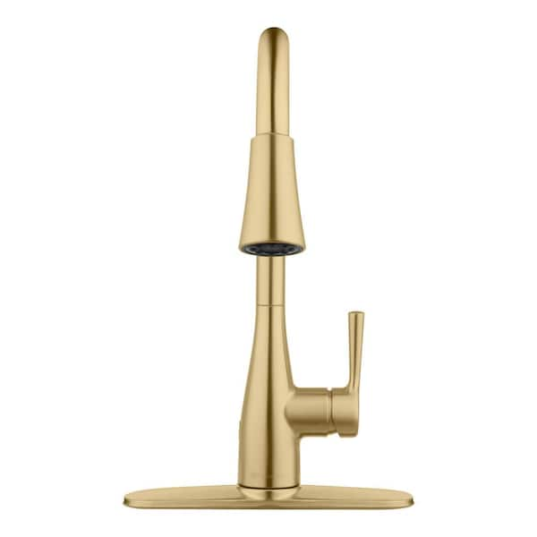 https://images.thdstatic.com/productImages/aa0e7ed8-997b-4f7b-a5a8-5762f2df24e0/svn/matte-gold-glacier-bay-pull-down-kitchen-faucets-hd67798w-134405-1d_600.jpg