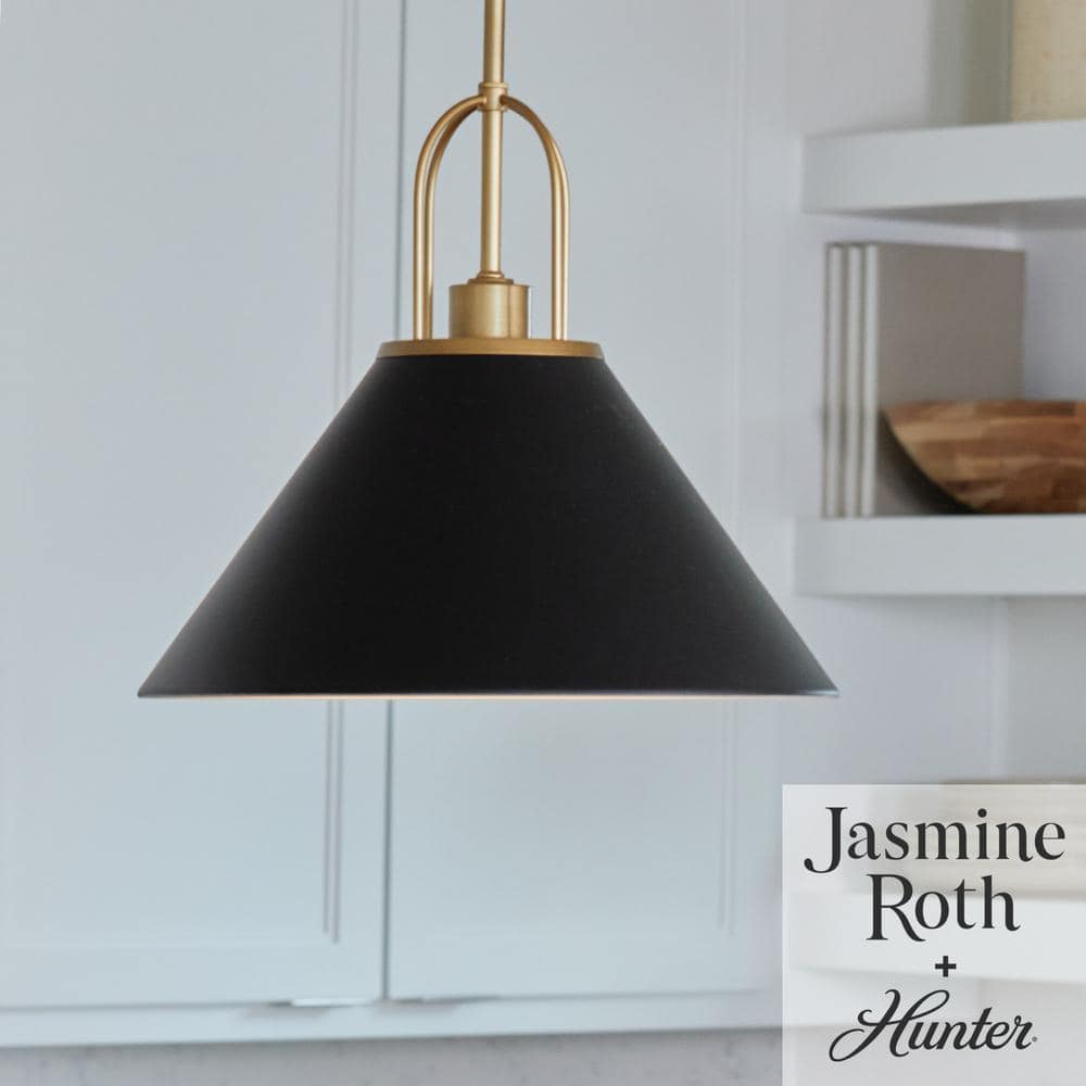 Matte Black and Luxe Gold Aluminum Pendant Light Fixture