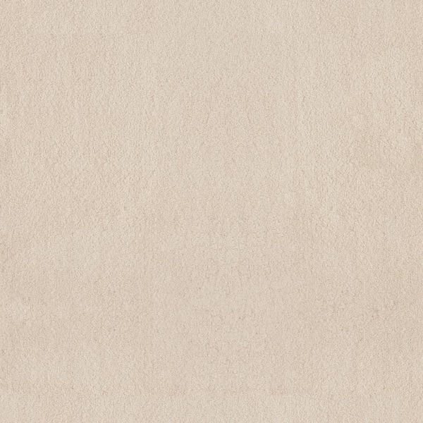 Lifeproof Dreamy Daze II Finch Beige 66 oz. Nylon Texture Installed Carpet