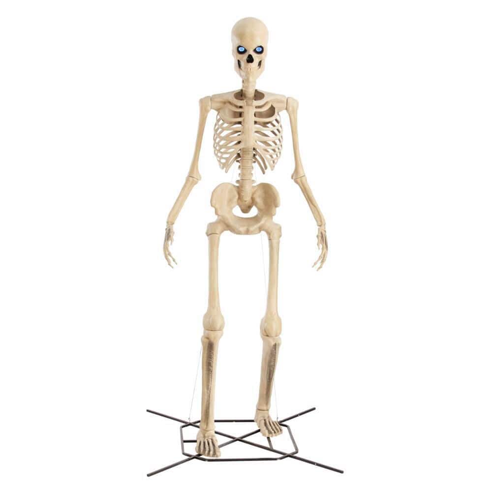 Home Accents Holiday 12 ft. Grave & Bones Giant-Sized Skelly with LifeEyes™ LCD Eyes H5 24SV24386