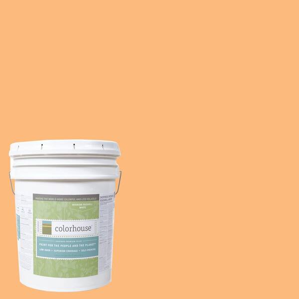 Colorhouse 5 gal. Sprout .02 Eggshell Interior Paint