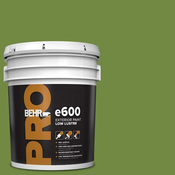 BEHR PRO 5 gal. #MQ4-44 Green Dynasty Low Luster Exterior Paint
