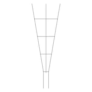 72 in. Metal Fan Trellis Cypress